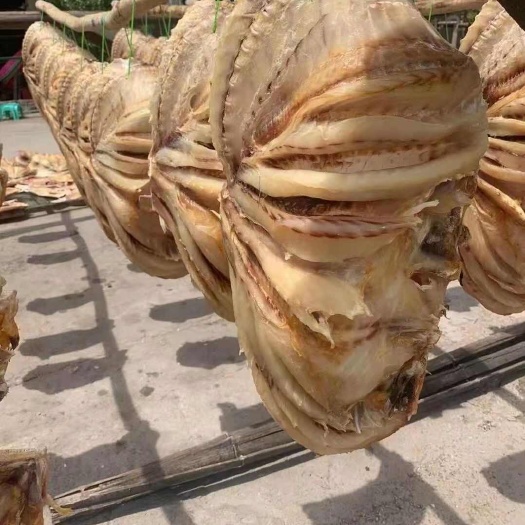 海口红鱼干