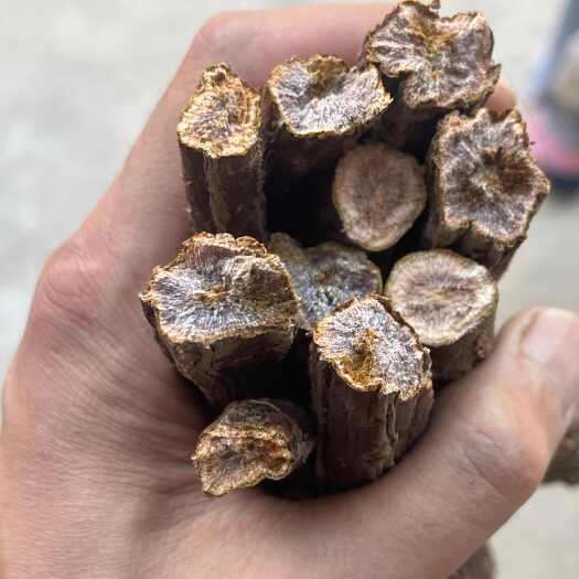宕昌县大黄水根统货