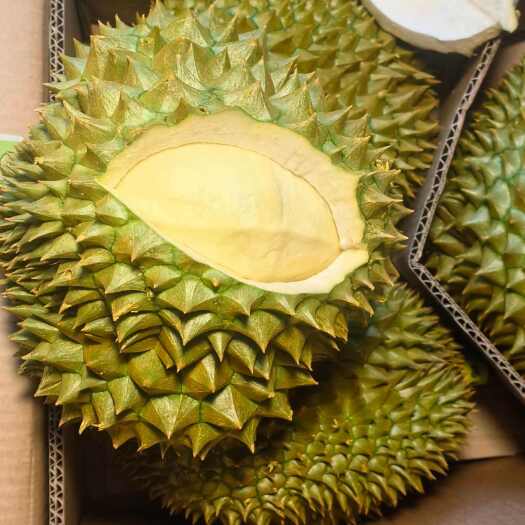  榴莲