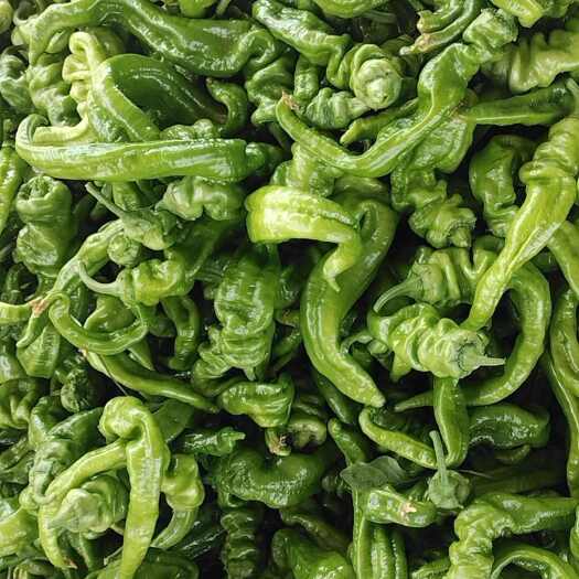 清远辣椒新鲜大棚蔬菜