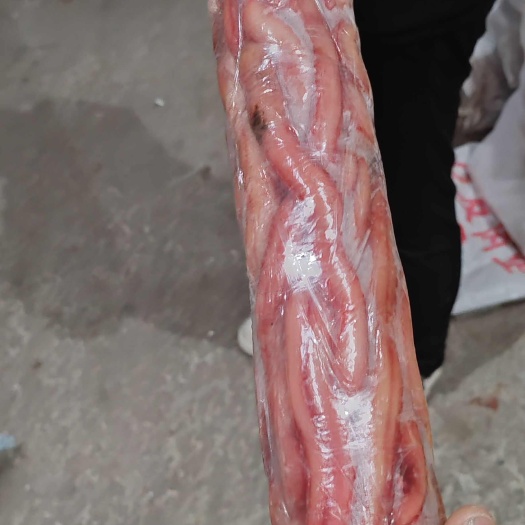 精修无根大羊鞭，