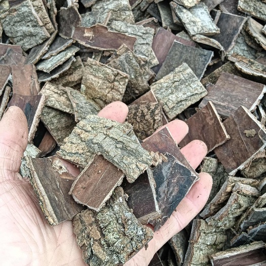 宁强县杜仲小方块4*4块1*1块各种规格