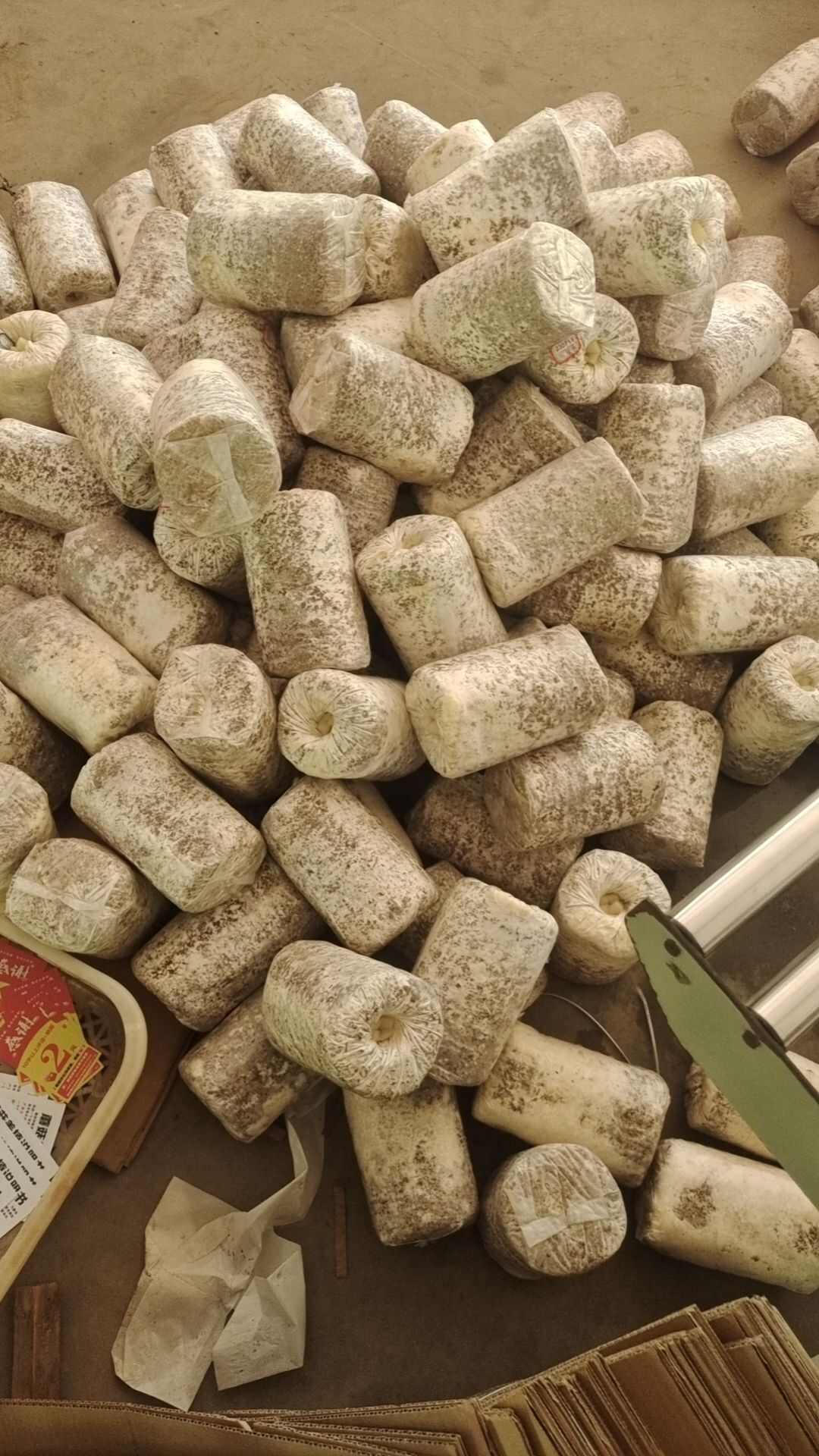 电商支持代发蘑菇菌棒菌包出售