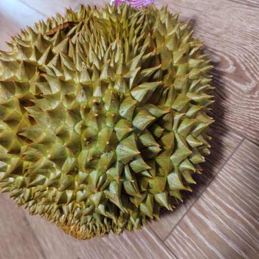 广州泰国金枕榴莲A货