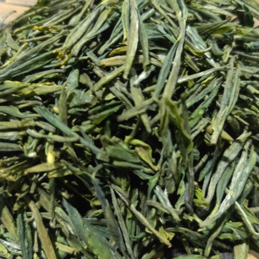 古蔺县绿茶