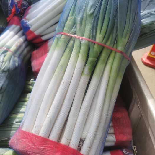  干葱