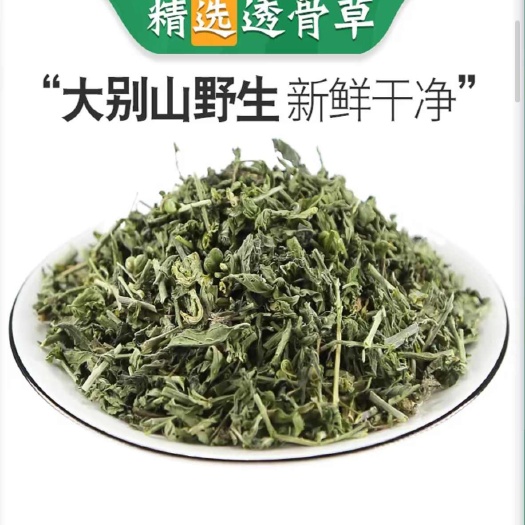 透骨草中药材 透骨草干货  无硫新货 现货批发 量大从优