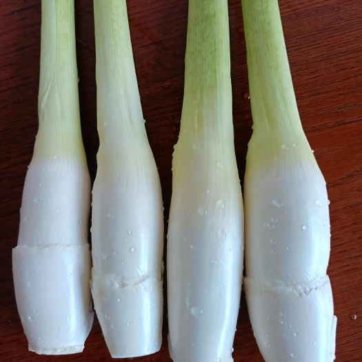 惠水县正宗贵州高山茭白，第一批开始出货，第二批北京茭白，七月份大量