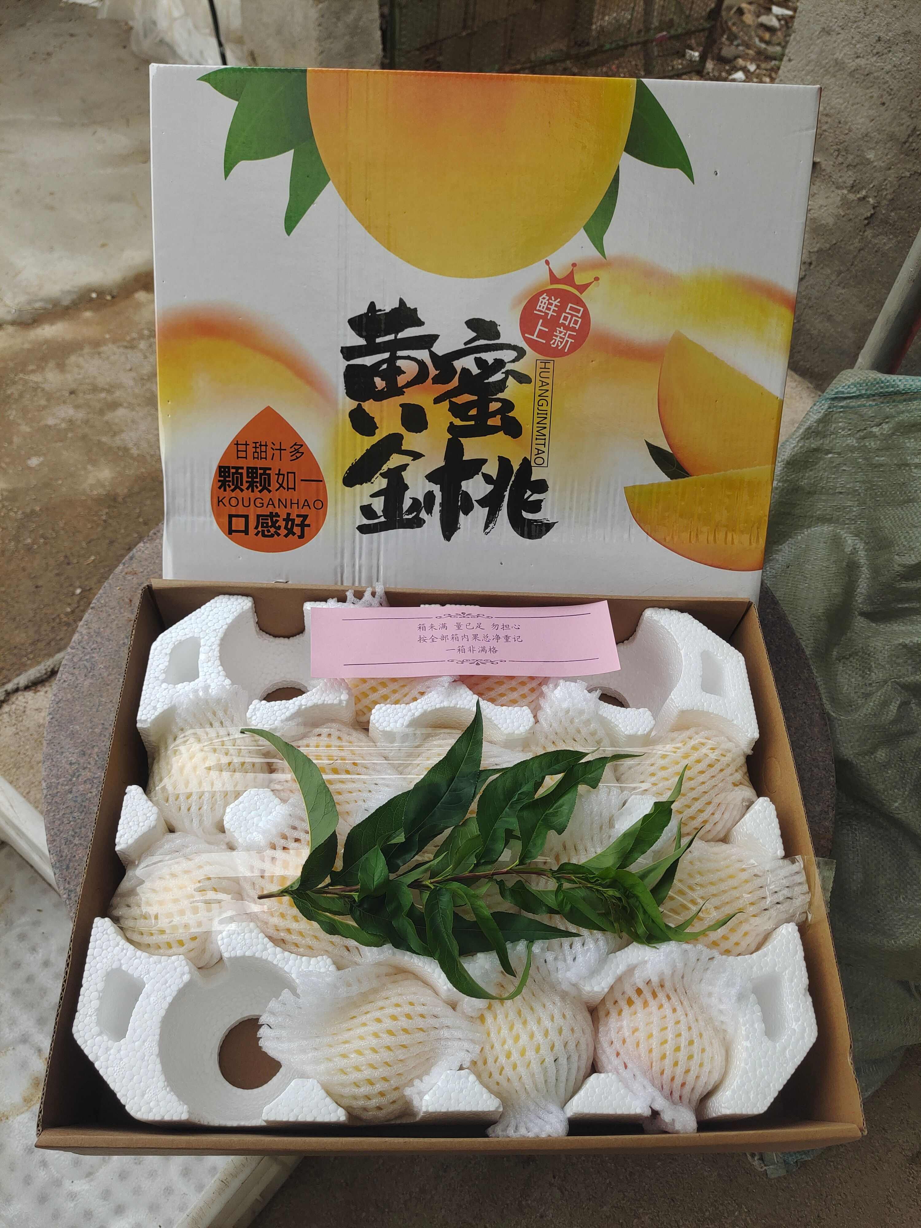 山东蒙阴黄油桃。支持一件代发，落地陪，现摘现发。发往全国