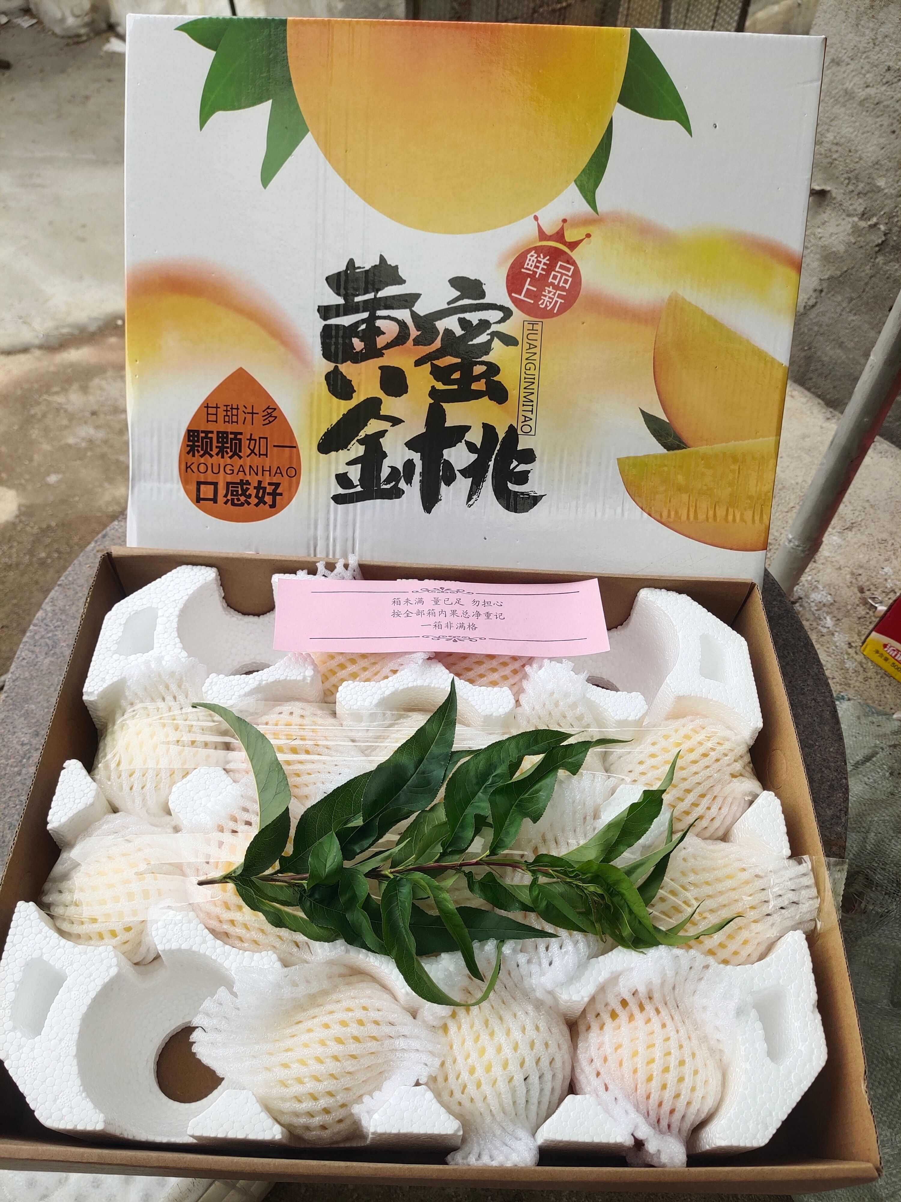 山东蒙阴黄油桃。支持一件代发，落地陪，现摘现发。发往全国