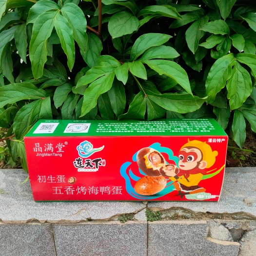 灌云县五香烤海鸭蛋（初生蛋）第一次下的蛋