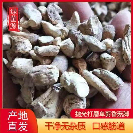 产地直发抛光打磨单剪中号香菇脚，一手货源，支持一件起批