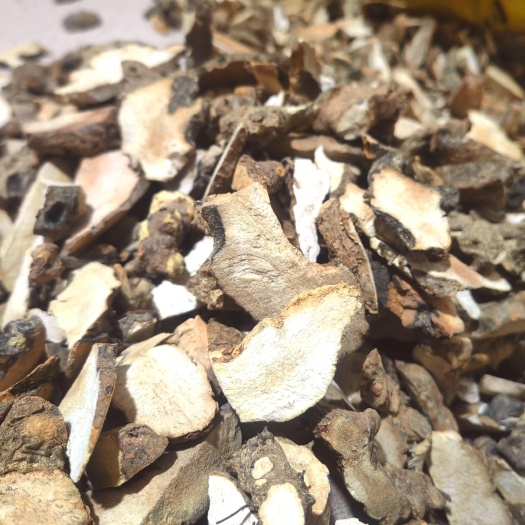 白肉土茯苓片新鲜中药材汤包土茯苓干货煲汤无硫粉质