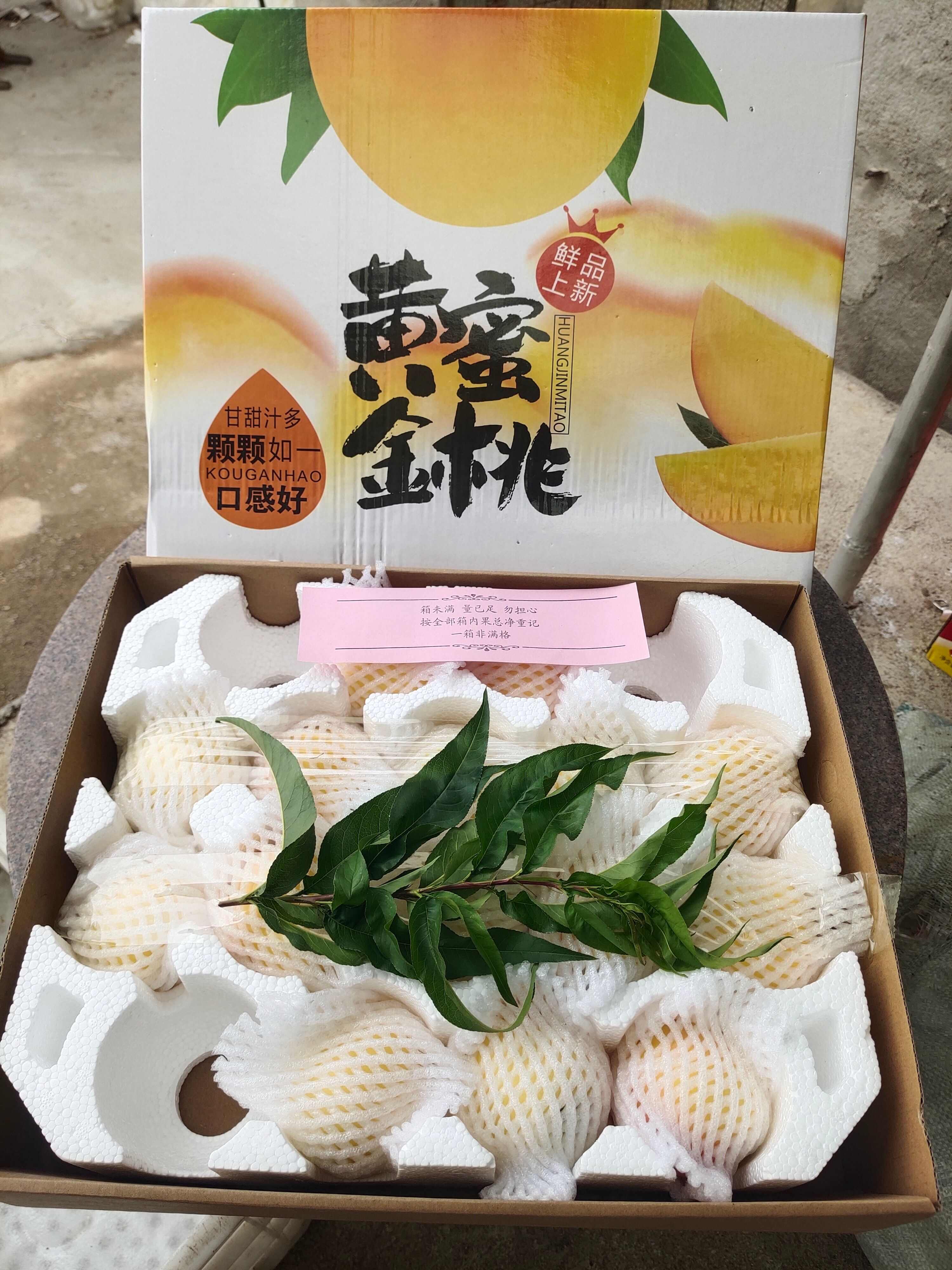 山东蒙阴黄油桃。支持一件代发，落地陪，现摘现发。发往全国