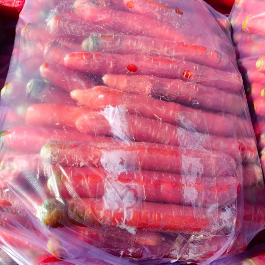 大荔县次品红萝卜，养殖场，脱水厂。