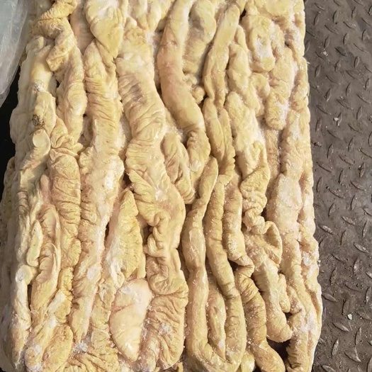 二级预煮大肠
