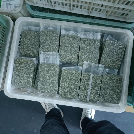 冠县绿豆