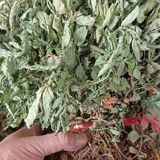 河池仙鹤草条子小扎把，切段都有
