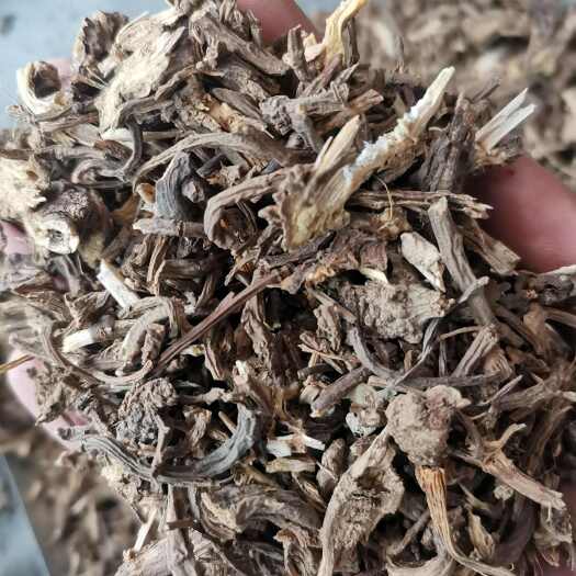 藁本 新疆藁本 辽藁本【假一赔十】