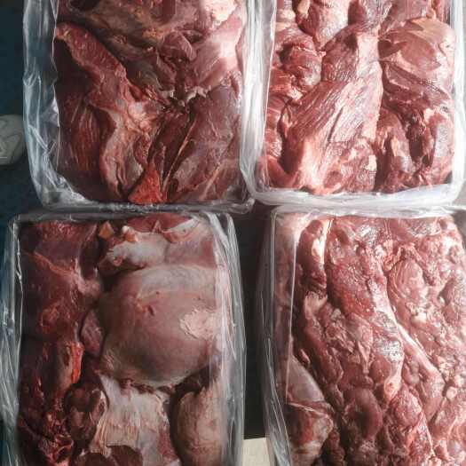 锡林浩特国产黄牛肉   纯干精修 可带同比例腱子 冷链发全国