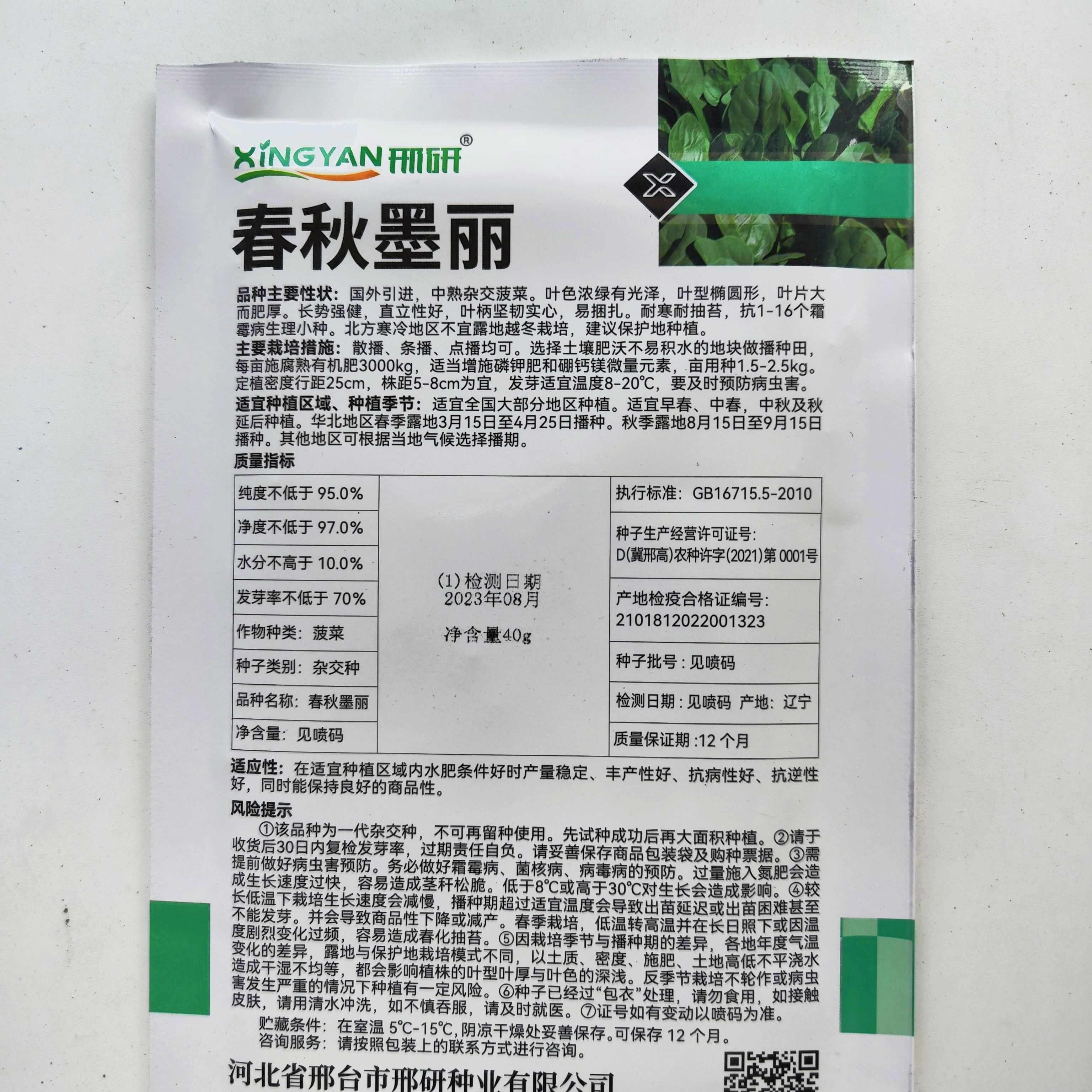 春秋墨丽大叶菠菜种子抗病耐热耐寒越冬盆栽四季播种农家蔬菜种籽