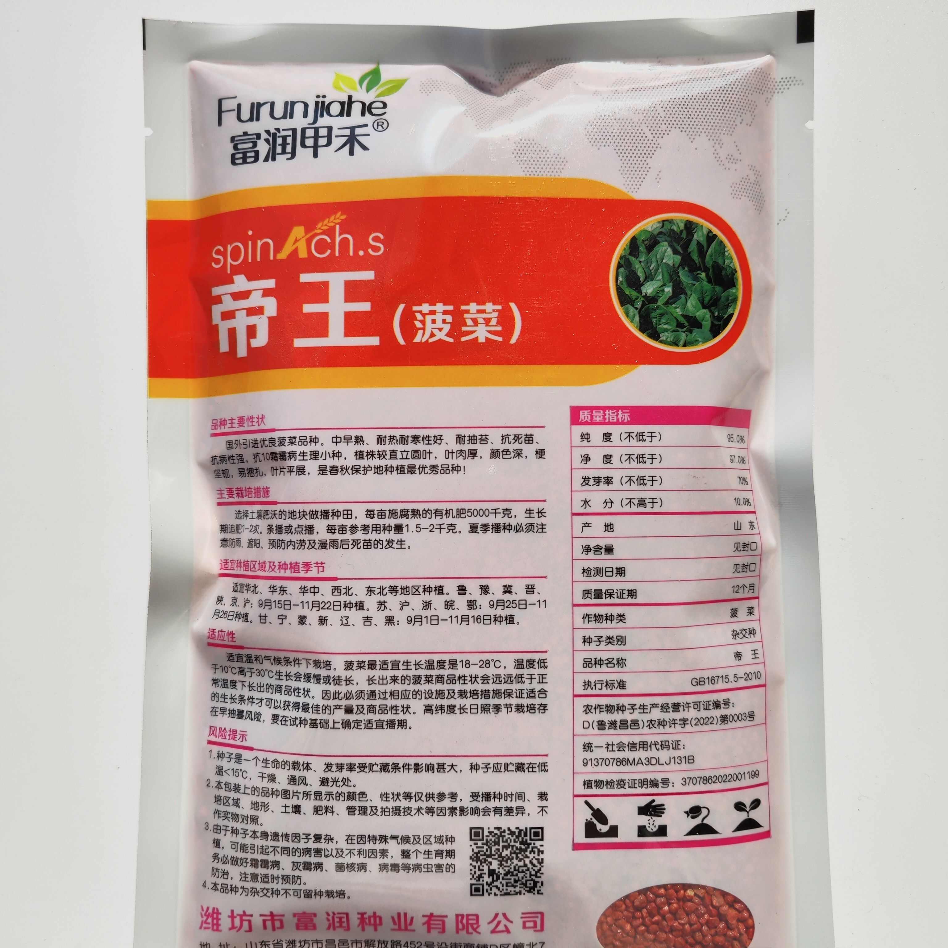 春秋墨丽大叶菠菜种子抗病耐热耐寒越冬盆栽四季播种农家蔬菜种籽