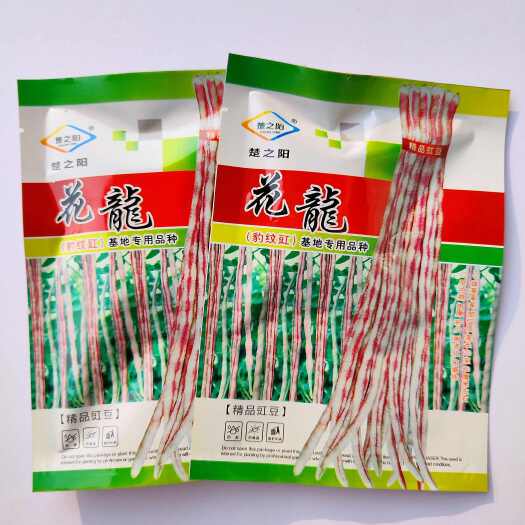 沭阳县花豆角种子豹纹花豇豆肉厚耐老好吃豇豆种子花条特长豆角种籽