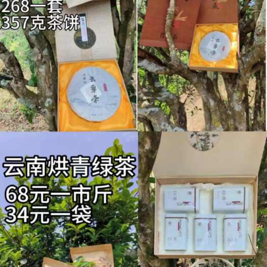 凤庆县万米山云雾峰古树茶