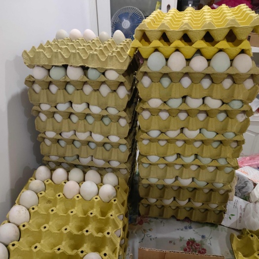 长兴县土鸭蛋