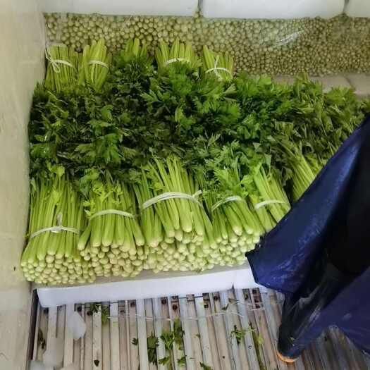  芹菜
