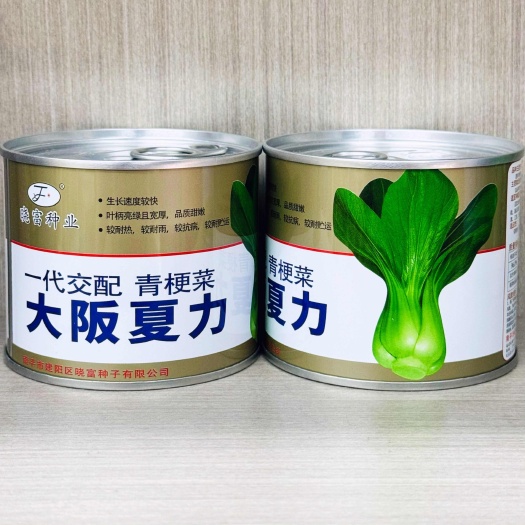 沭阳县大阪夏力青梗菜种子夏季耐高温油菜种籽小白菜小青菜种子四季播种