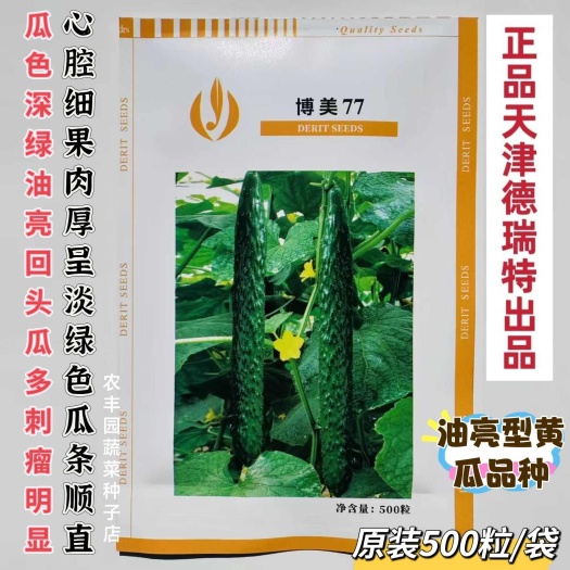沭阳县德瑞特博美77黄瓜种子耐热油亮型黄瓜种子心腔细肉厚春夏秋可种