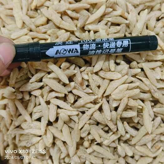 广州麦冬