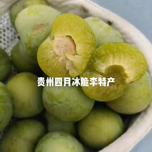  青脆李