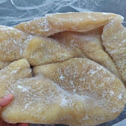 牛肚