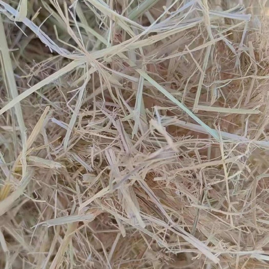 天津扎段除尘稻草柔丝除尘稻草大量发货