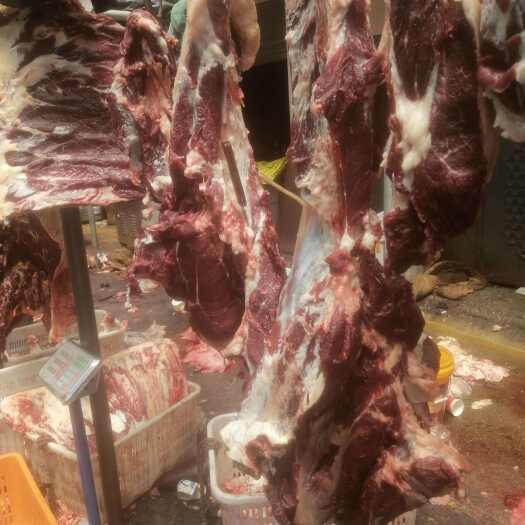 松潘县牛肉，鲜货，当天屠宰