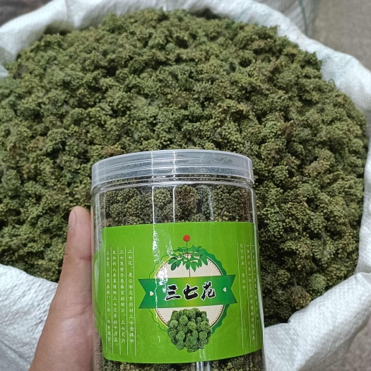 文山市云南文山三七花