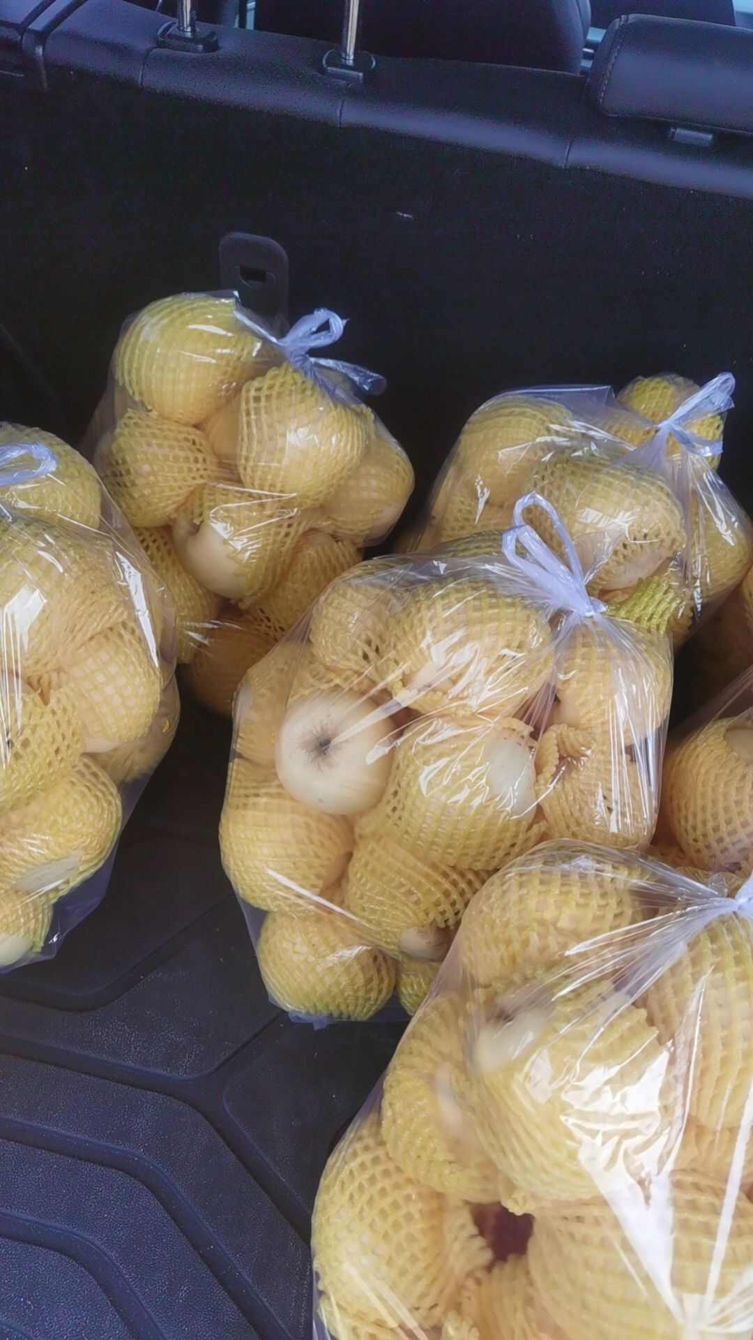 维纳斯黄金苹果