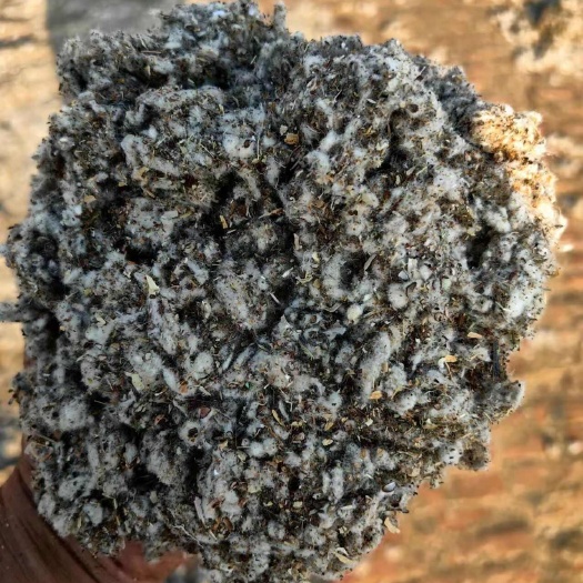 邯郸棉渣