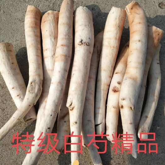  白芍