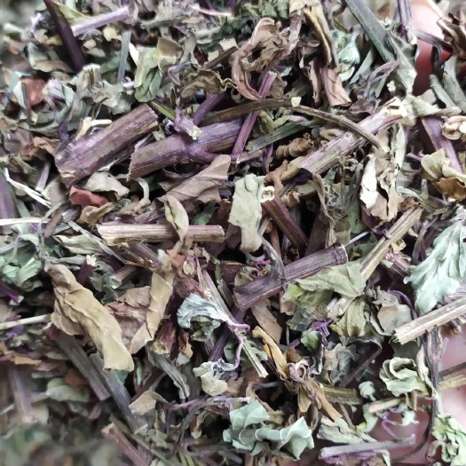 玉林A猫须草，肾茶