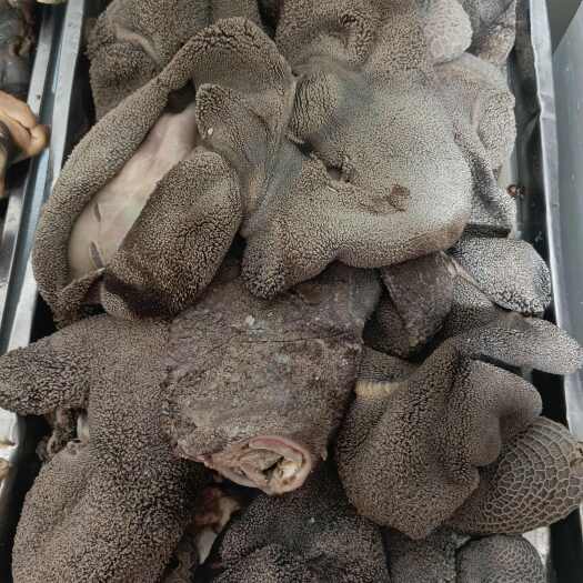 唐县羊副产品
