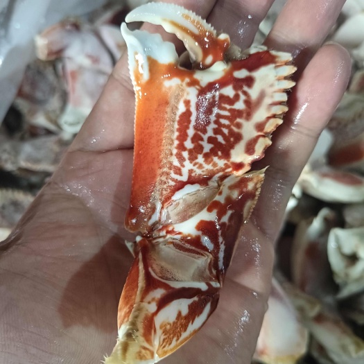 北海虎纹蟹钳，一款性价比高的产品