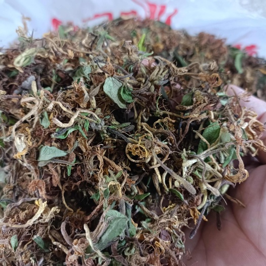 金银花大山里采摘的新货无硫熏2024无硫熏批发零售