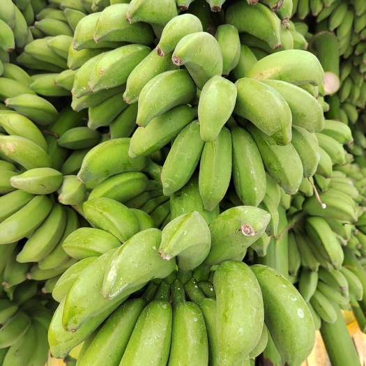 南宁小米蕉
