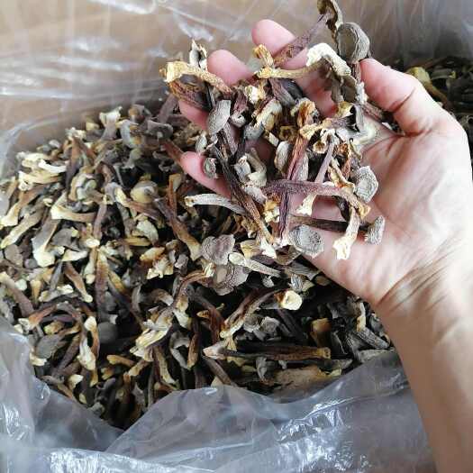 古田县便宜鹿茸菇，低价鹿茸菇