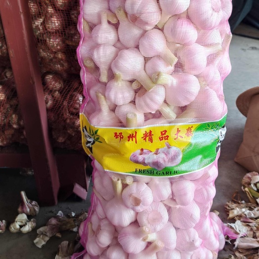邳州市邳州扒皮鲜蒜大量供应