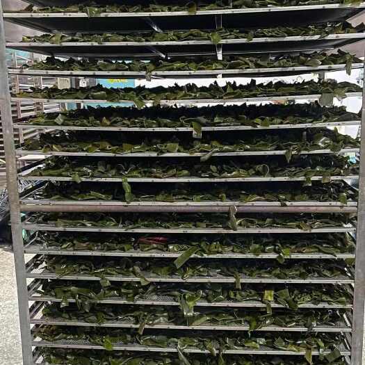 随州7p烘干机  烘干香菇 羊肚菌 野生菌 药材 葫芦 花类