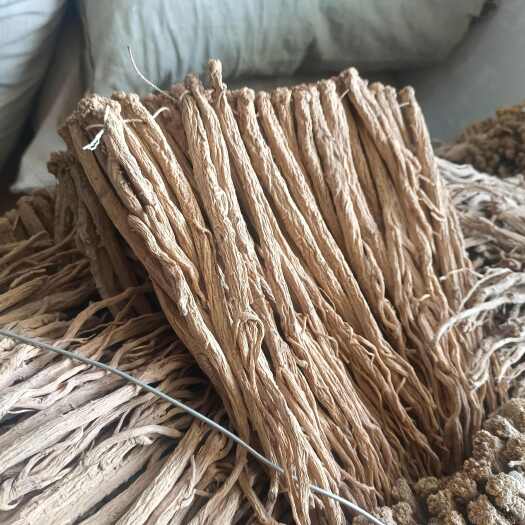 陇南白条党参